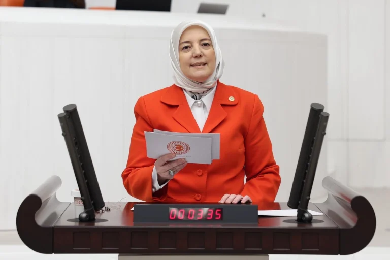 ak-partili-yavuz-gozgec-butcemizin-istikameti-turkiye-yuzyili-dir-1766325597-62_large