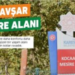 dy_5ba88bb04913ebc574bb138e0f5ff6f3