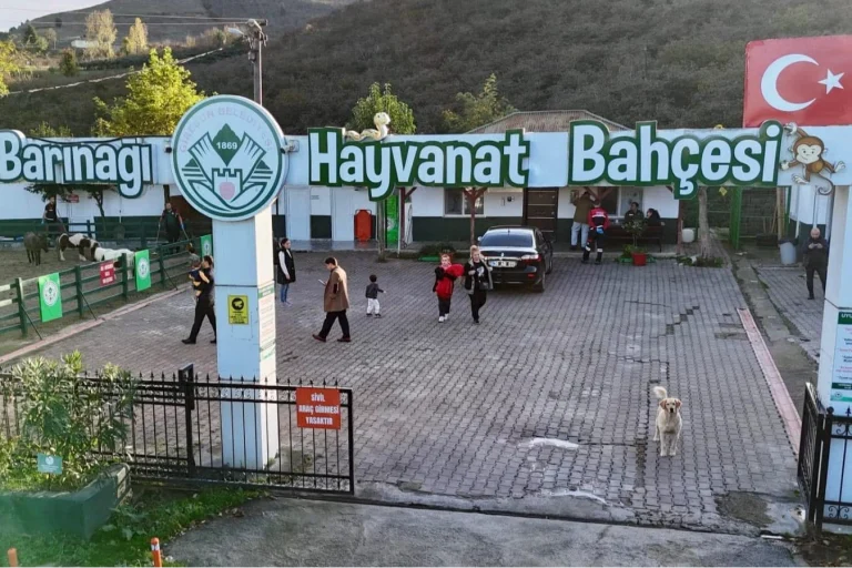 giresun-hayvan-barinagi-2025-e-damga-vurdu-1766788586-800_large