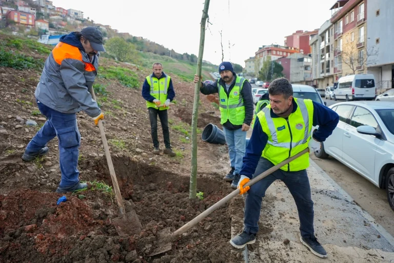 istanbul-maltepe-de-zumrutevler-in-parklari-geri-donusumle-yenileniyor-1766124946-300_large