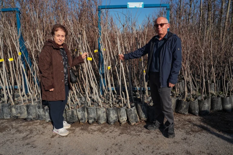 kocaeli-3-bin-600-trabzon-hurmasi-fidani-dagitiyor-1767010070-727_large
