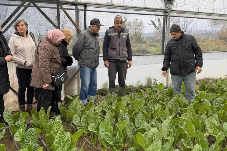 kocaeli-de-65-yas-ustu-bireyler-tarimsal-uretime-katildi-1766738312-487_large