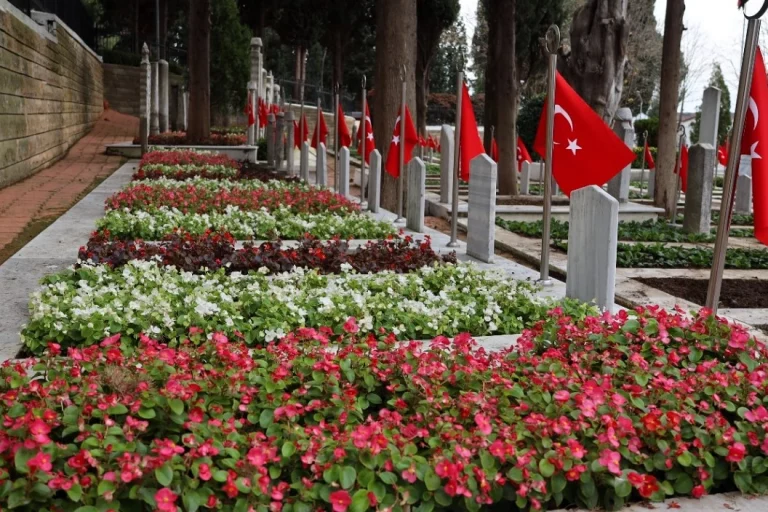 kocaeli-de-sehitliklerde-cevre-duzenleme-calismasi-1766997502-174_large