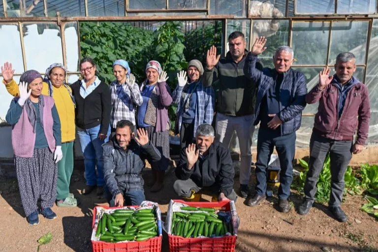 mersin-aydincik-ta-ureticiler-ilk-hasadi-yapti-1766734635-404_large