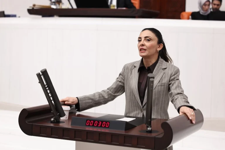 nurhayat-altaca-kayisoglu-ozgur-sanat-olmadan-demokrasi-olmaz-1765622167-562_large