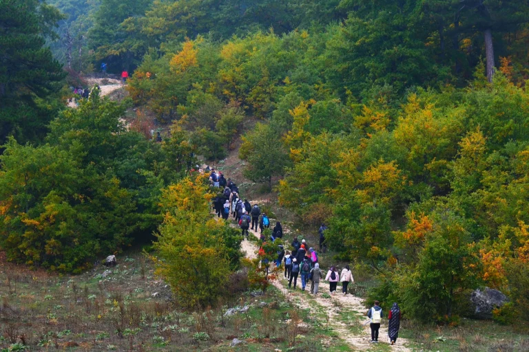 sakarya-da-dogayla-ic-ice-sonbahar-1765795682-372_large