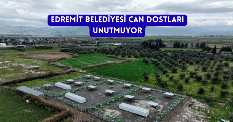 Geri geri gelen kamyonun altında jaldı (3)