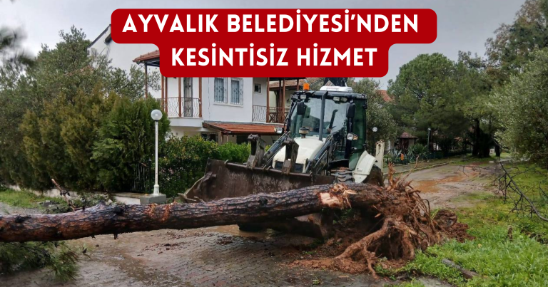 Adsız (315 x 600 piksel) (1200 x 630 piksel) (1)