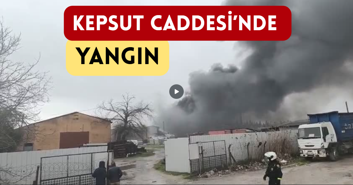 Ekran görüntüsü 2026-02-12 153216