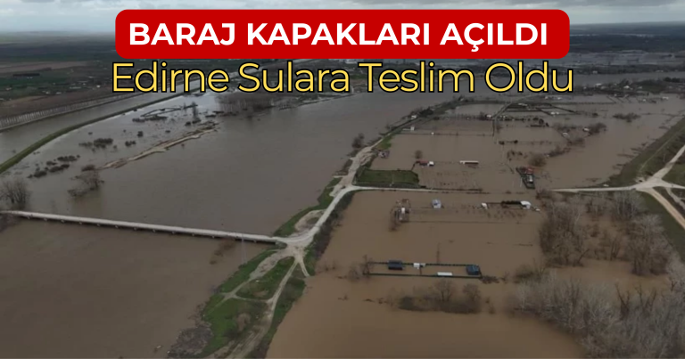 Geri geri gelen kamyonun altında jaldı